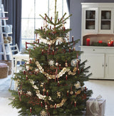 Lumix SuperLight Metallic Red