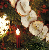 Lumix SuperLight Metallic Red