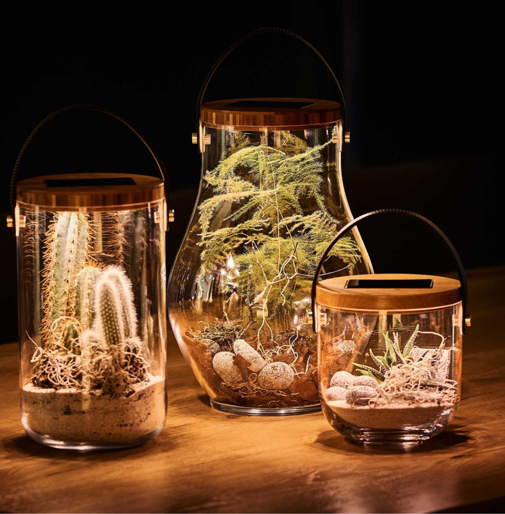 LUMIXDECOGLASS_BOLD_-